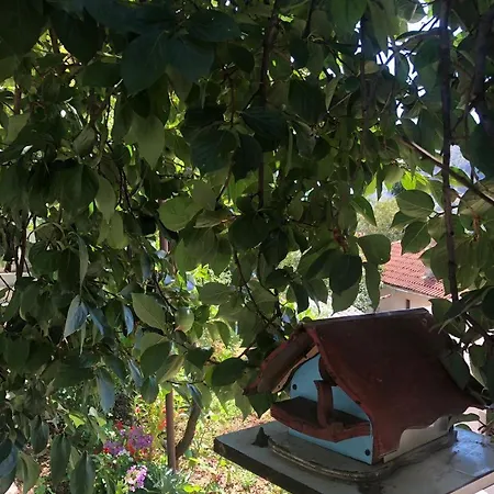 公寓 Red Star 莫斯塔尔