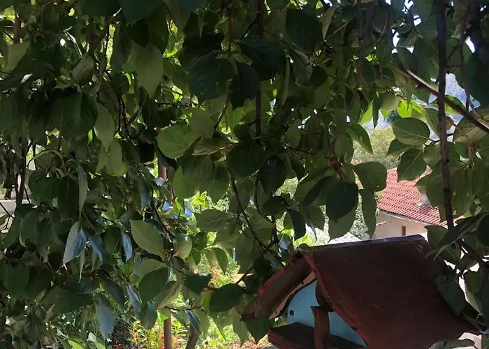 Appartement Red Star Mostar