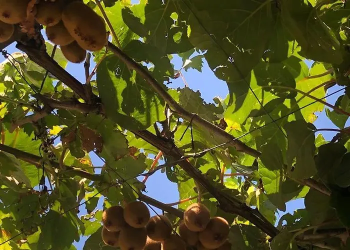 Appartement Red Star *